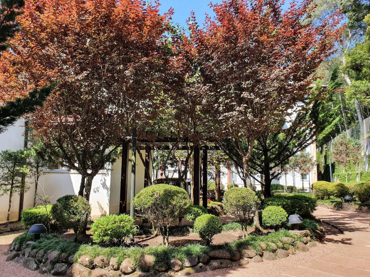 Apto No Centro De Gramado Com Piscina Termica Bagian luar foto